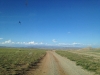 greening-as-we-head-east-across-mongolia