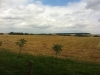 poland-10