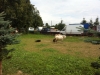 poland-9