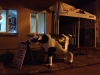 Random cow, Moscow