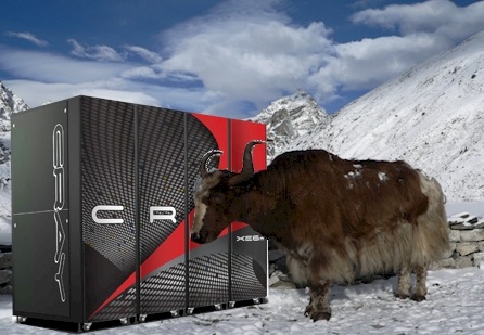 mongolian Cray